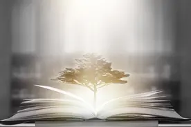 第四讲图片
