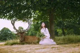 深山啤酒图片