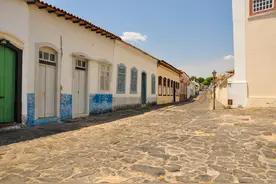 鸟儿及其含义图片