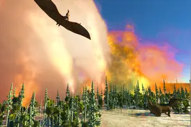 小说：全民荒岛求生，别人刚开始建木屋，他已经做好了砖瓦房图片