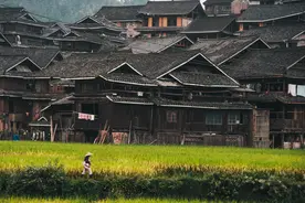 语言学话术有深层含义？带你跟着伦敦著名语言学家学习话术分析图片