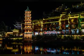 PART 02 玫瑰花的一生图片