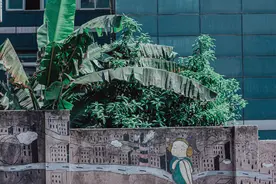 超级英雄逃脱侠被人诋毁形容成丑角，无人记得他最初的英勇图片