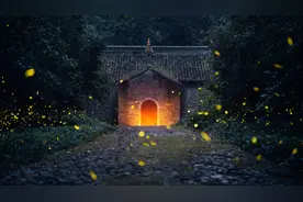 小说：《修仙不走寻常路，肥猪丹药来开路》图片