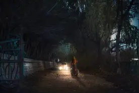 小说：山洞之中的神秘药田，寻宝蛇十年如一日的专心守护图片