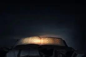 小说：默默无闻、猥琐发育十年，就是为了今天的登顶图片