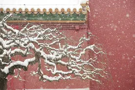 小说：她行使王妃的权利，罚跪心机小妾，王爷大怒罚她雪地跪整夜图片