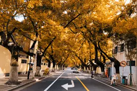 小说：同学会比显摆，我有修改器我怕谁图片