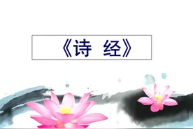 山有木兮木有枝，心悦君兮君不知图片