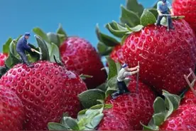 爱丁堡的魔法女侠——J.K.罗琳和哈利·波特图片