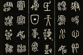 椰杯（防中毒秘术）图片