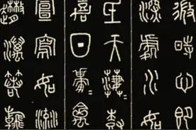 椰杯（防中毒秘术）图片