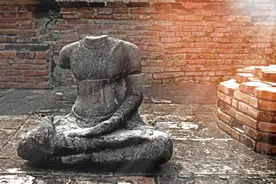 人类祖先从树上到地面的成长历程，哪些猜测最具可信性呢？图片