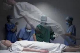 高贵一种，有诗为证图片