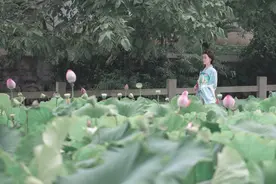 小说：可惜时光不能倒流，后悔已经来不及了。图片