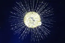 第一章 大数图片