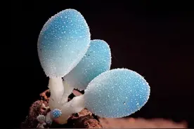 2 保温杯如何做到一晚上水都不冷？图片