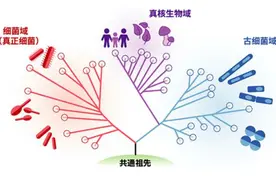 第1章 空间和时间的相对论图片