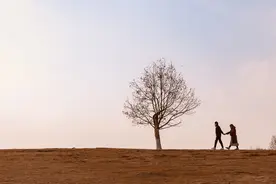 小说：小丫头打败异能猪，大楼坍塌，神秘未婚夫赶紧瞬移来救她图片