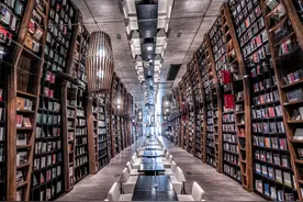 小说：如果一切是命中注定，我就偏要逆天而行。救相柳是我的目的图片