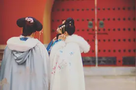 小说：林黛玉姨妈惊险生子，皇帝亲临图片