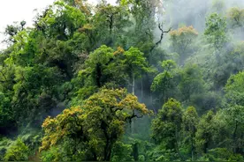 从人工智能的前世今生到技术发展历程，听教授为你一一科普图片