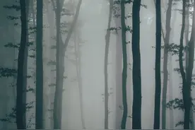 小说：小伙半夜进入阴森老宅，窗外突现诡异黑影，快跑图片