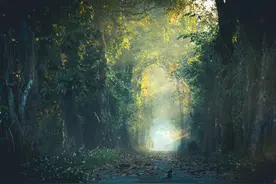 小说：不管在哪里知识都是力量！图片