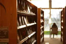 小说：柯学世界的万人迷，被众人爱慕渴望的白月光图片