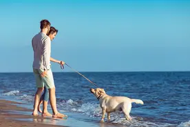 女孩离校返乡，不料村民们”虎视眈眈”，把她当成宝图片