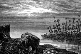 小说：卫宣公筑台纳媳，高渠弥乘间易君，宫闱秘史！图片