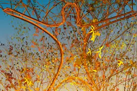 小说：全息游戏一开始就获得了最强神器？！要无敌了图片