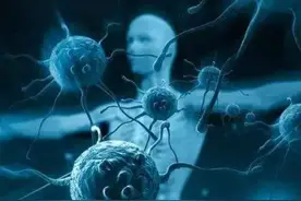 第4章 二次同余方程 （第94～152条）图片