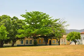 第一次和他接吻的时候，我老感觉自己做得不对图片