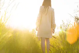 宋美龄：南山上的艳与寂图片