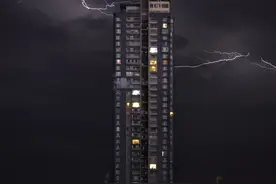 东京市区突现金色豹子，少年放学回家被它吓得瑟瑟发抖图片