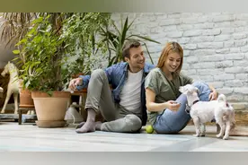 小说：可爱柴犬再次出现护食，主人求助训犬师，发现竟然是保姆图片