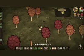 饥荒：荒野求生第二期，去找猪王途中，差点死在青蛙舌头之下。