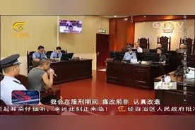 男子持枪抢劫金店案后续：一审判犯抢劫罪，判处八年零五个月视频封面