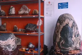 泰山石真石难求：大程带你进专卖店，看收藏级泰山石什么样视频封面