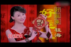 祖海的一首《好运来》欢快的旋律，好听醉人