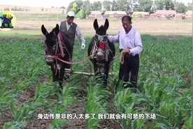 驴到底是怎么死的？是笨死的，还是被流言杀死的？