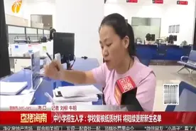 海口市第28小学需要再次审核社保证明的材料共200余份视频封面