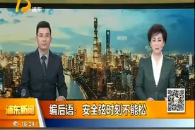 高压电塔下堆枯枝 存在安全隐患视频封面