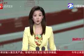 “双节”食品安全整治 民宿餐具过期被扣视频封面