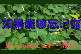 你曾经最爱的他或她，你忘掉了吗？你是怎样忘掉一个人的？