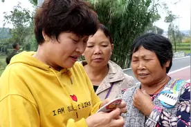 农村土地承包800元一亩，村民都不太愿意，这到底是为什么呢？视频封面