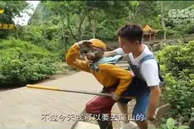 广西龙虎山风景区 山内三千多只猴子 是中国“四大猴山”之一视频封面