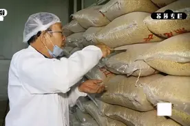 50多岁山西大哥放弃国营工作，回家创业，投资100多万建豆腐工厂视频封面