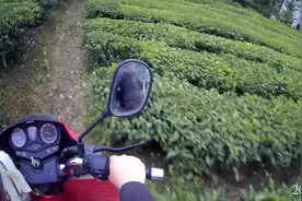 当手机卡欠费停机变成空号，还能找回来吗？